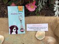 Rose Quartz healing gemstone pet collar charm.  Helps pet with love,and companionship. Ideal for rescues, and sick or injured animals.