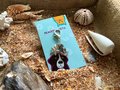 Smokey Quartz healing gemstone pet collar charm