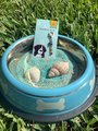 Chakra stone healing and balancing pet collar charm, purse charm.