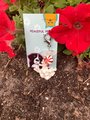 Clear Quartz healing gemstone pet Christmas collar charm,Christmas dog collar charm