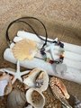 Chakra Apophyllite healing gemstone necklace