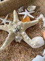 Healing clear quartz and howlite gemstone pet charm,amulet,collar charm