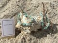 Amazonite healing gemstone bracelet
