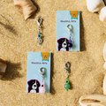 Pet Protection Charm, Evil Eye and Healing gemstones for pet safety ,  Purse charm.