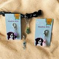 Pet Protection Charm, Evil Eye and Healing gemstones for pet safety ,  Purse charm.