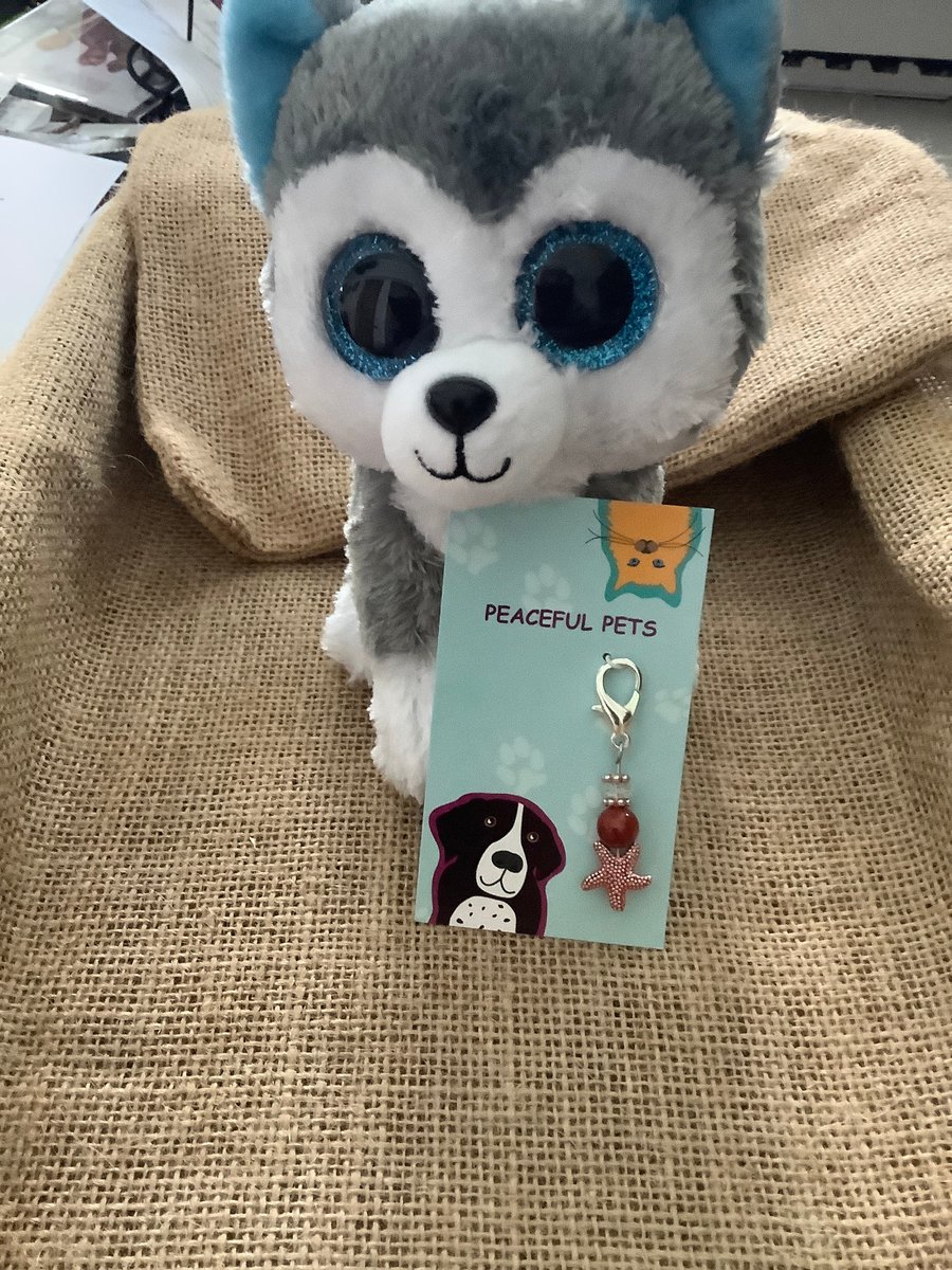 Red Agate healing gemstone beach pet collar charm. Agate is said to help with communication, balance, and is calming.