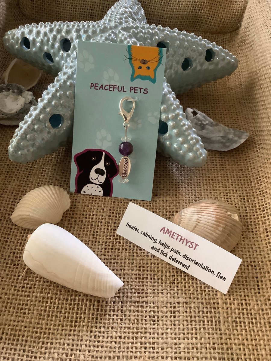 Amethyst Healing Gemstone Pet Collar Charm - Blessed Anti-Bark Flea Tick Deterrent for Dogs & Cats, Pain Relief