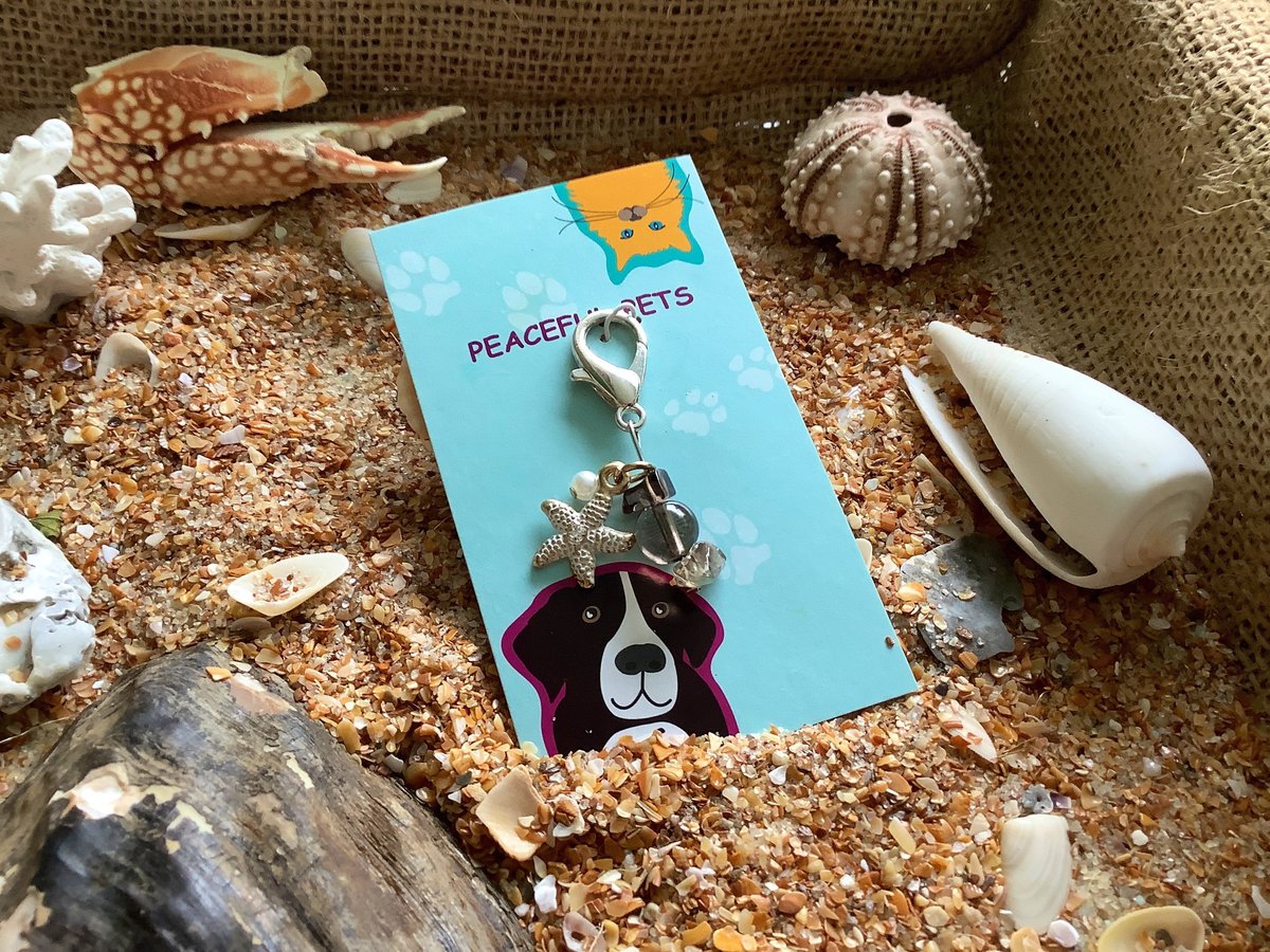 Smokey Quartz healing gemstone pet collar charm