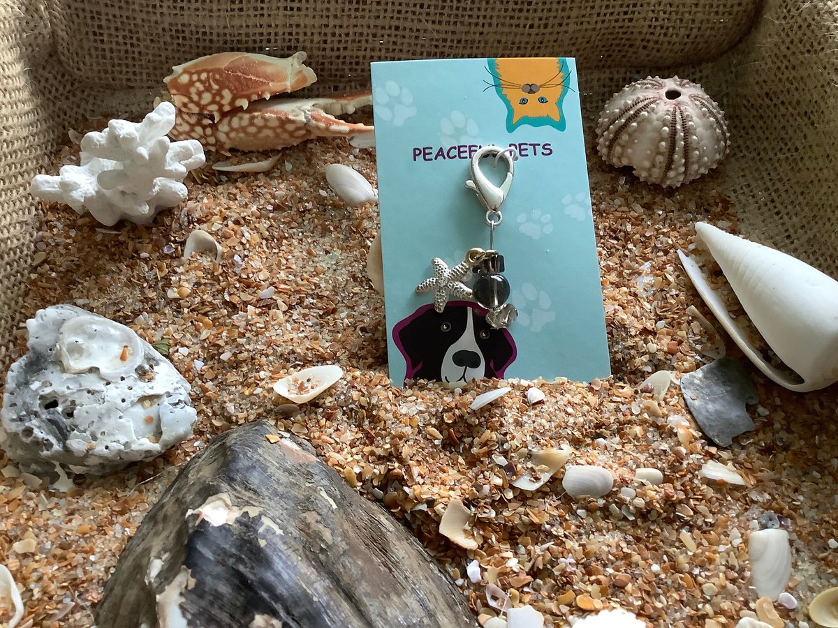 Smokey Quartz healing gemstone pet collar charm