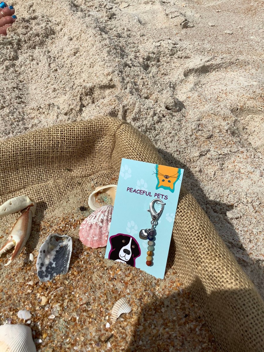 Chakra stone healing and balancing pet collar charm, purse charm.