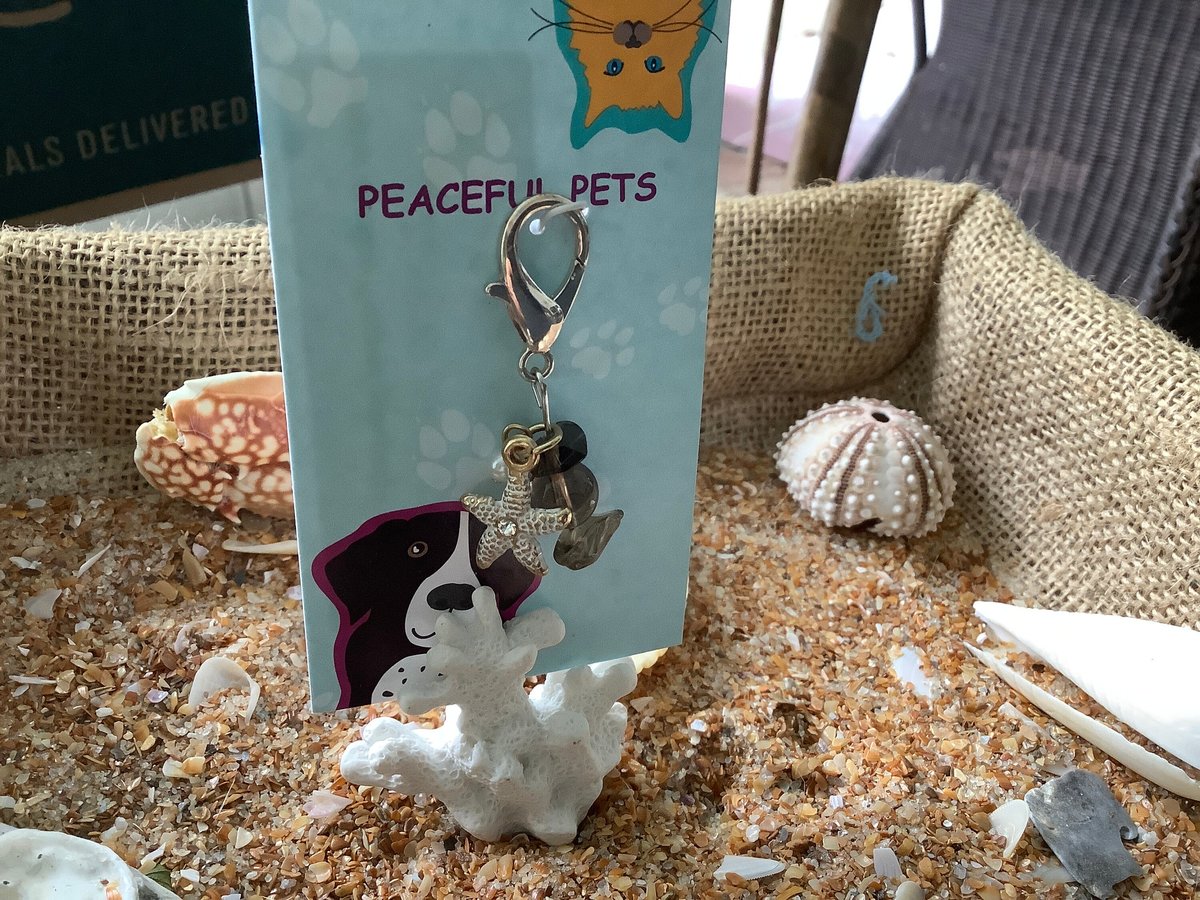 Smokey Quartz healing gemstone pet collar charm