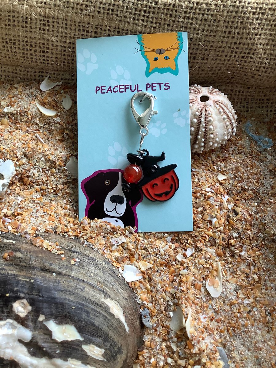 Halloween Pet Charm Red Agate Black Obsidian Healing Crystal, Purse Pull, Zipper Pull
