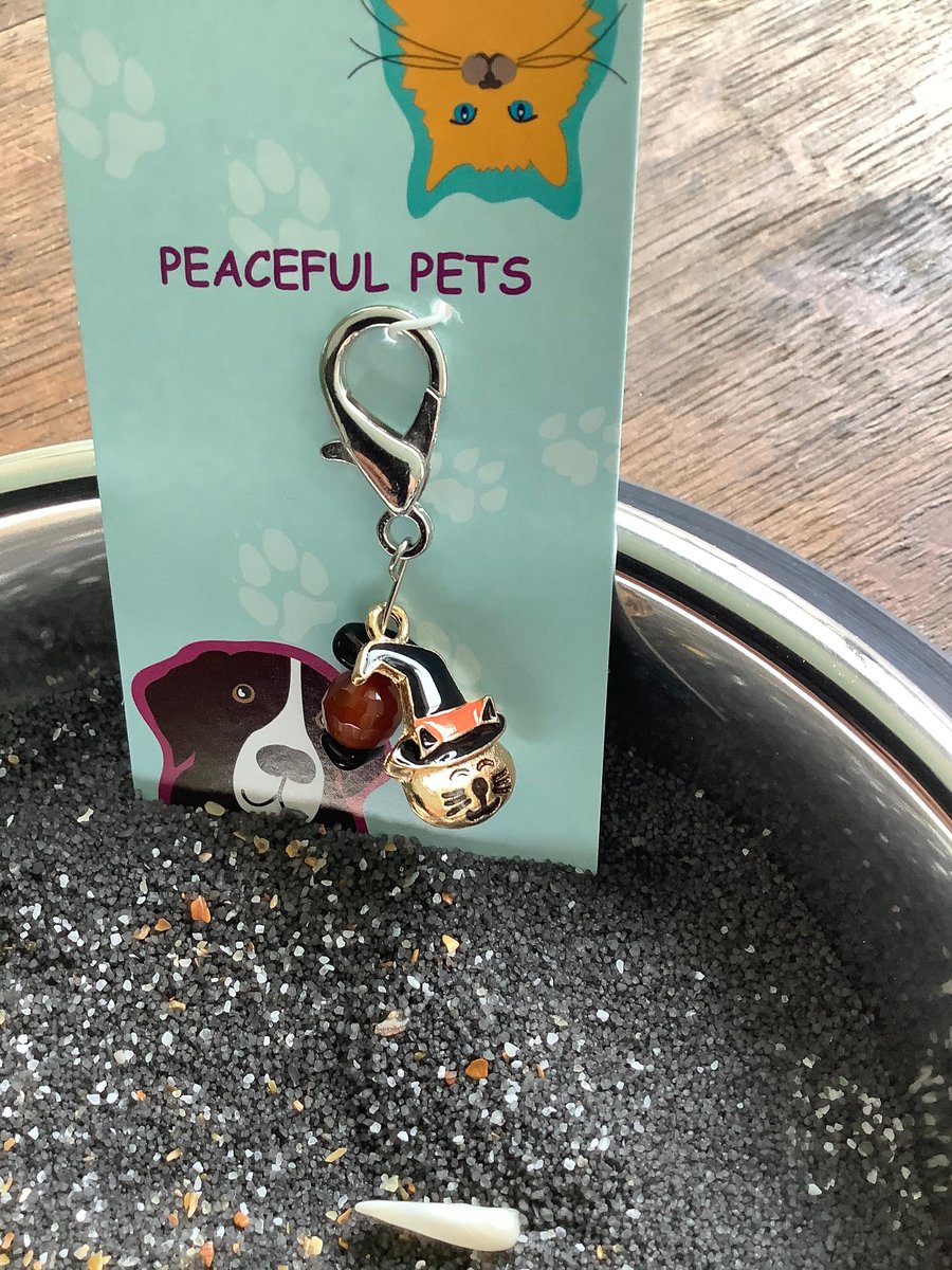 Halloween Healing Gemstone Collar Charm & Purse Accessory - Unique Pet Charm for Spooky Season