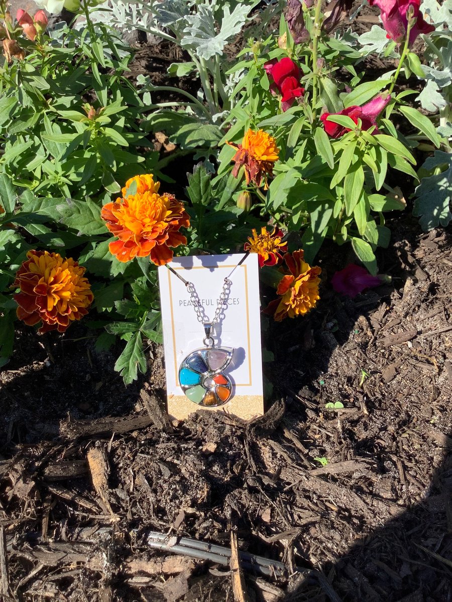 Healing chakra stone nautical shell necklace,pendant, with a 28” silver chain along with a 20-22” adjustable black cord.