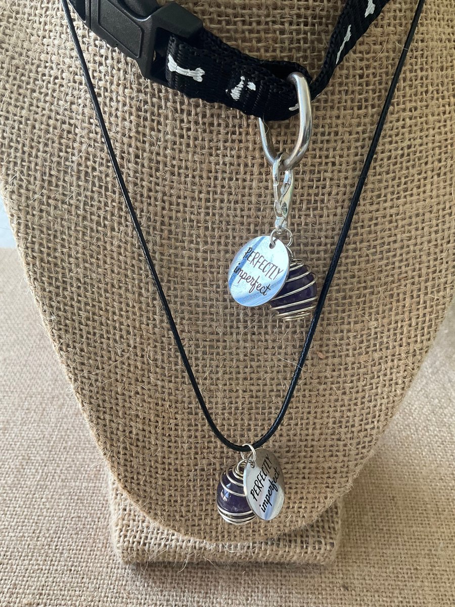 Matching Pet and Owner Collar Jewelry Set - Crystal Charm & Necklace - Perfect Pet and Owner Matching Jewelry Gift