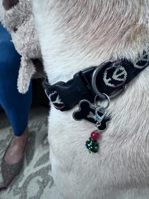Pet collar charm, Christmas themed, healing gemstone charm, purse accessory