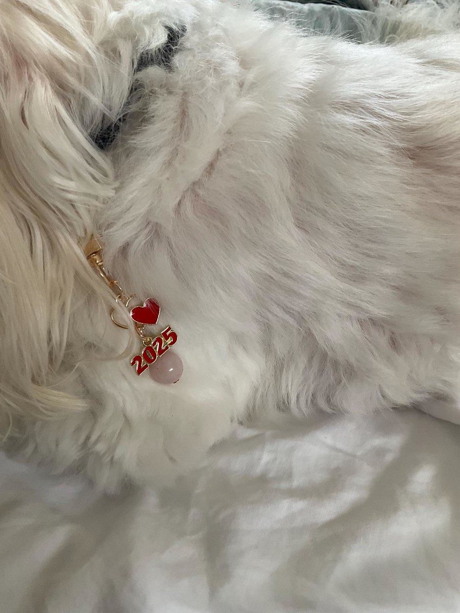Collar Charm | Gemstone Pet Accessory, Purse Charm, Keychain, Zipper Decoration for Dogs & Cats | Unique Gift Idea