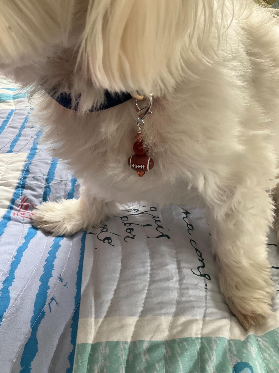 Pet Protection Collar Charm  | Dog Collar Accessory for Football Fans | Gemstone Pet Gift