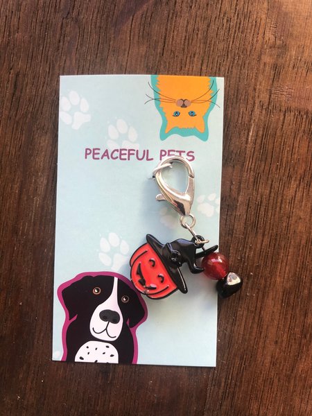 Halloween Pet Charm Red Agate Black Obsidian Healing Crystal, Purse Pull, Zipper Pull