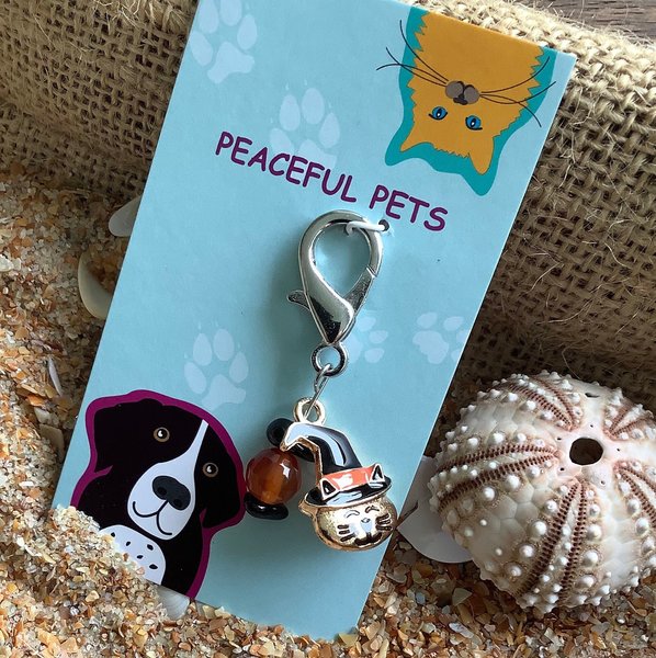 Halloween Healing Gemstone Collar Charm & Purse Accessory - Unique Pet Charm for Spooky Season
