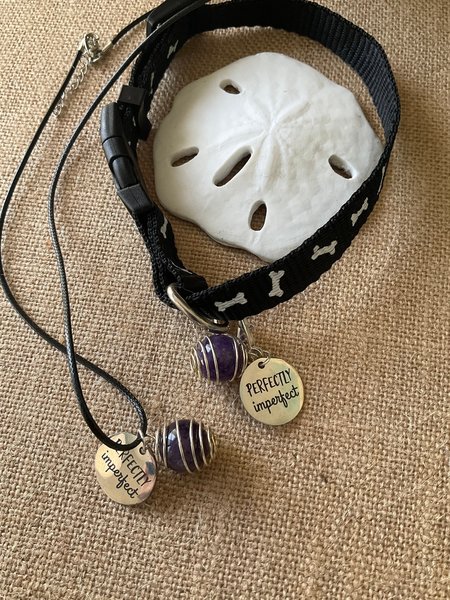 Matching Pet and Owner Collar Jewelry Set - Crystal Charm & Necklace - Perfect Pet and Owner Matching Jewelry Gift