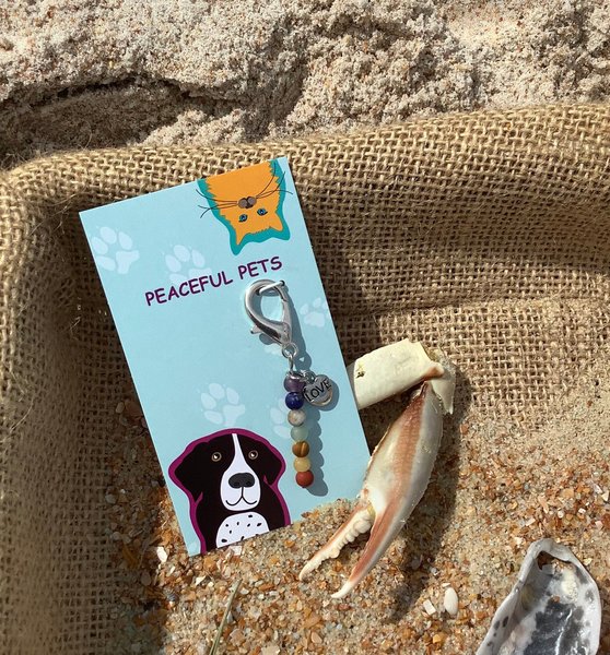 Chakra stone healing and balancing pet collar charm, purse charm.